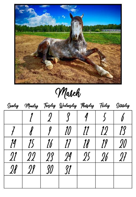 Horse Calendar 2021